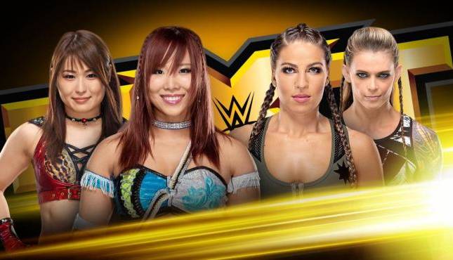 NXT 30 Jan 2019 Results & updates