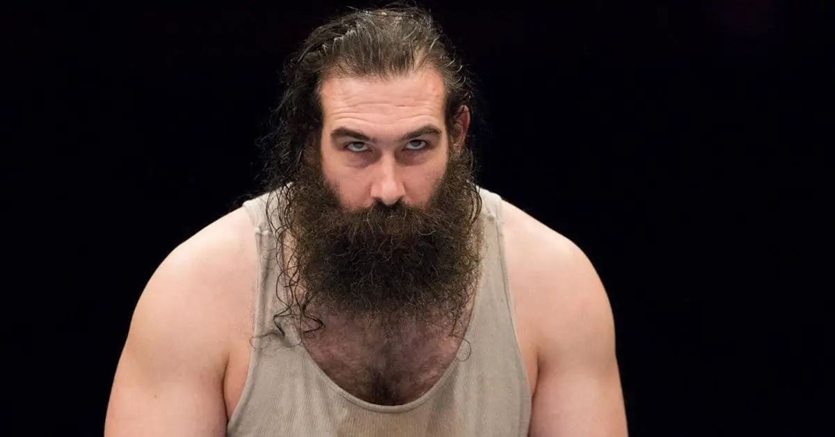 Luke Harper, Luke Harper WWE,