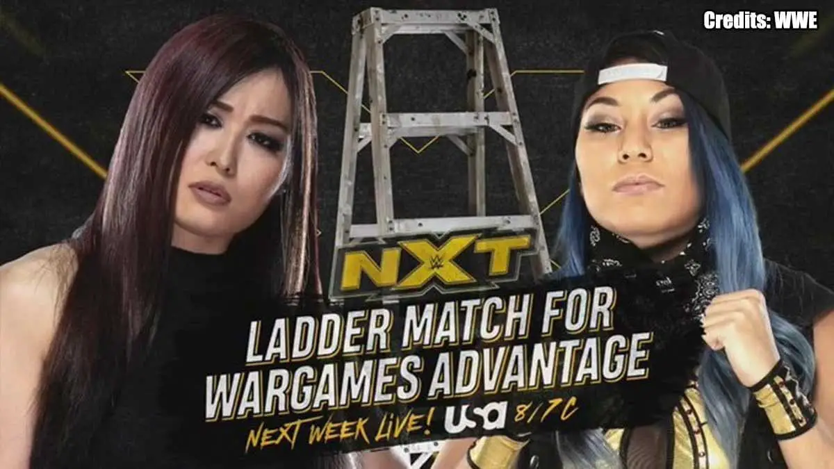 Io Shirai vs Mia Yim-Ladder Match NXT 13 November 2019