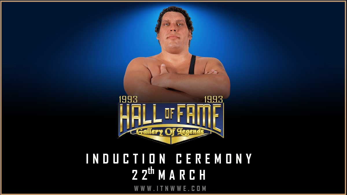 Hall Of Fame 1993 Poster