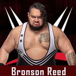 Bronson Reed wwe roster 2022