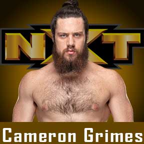 Cameron Grimes WWE NXT 2020