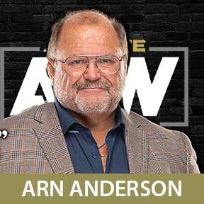 ARN Anderson AEW 2020