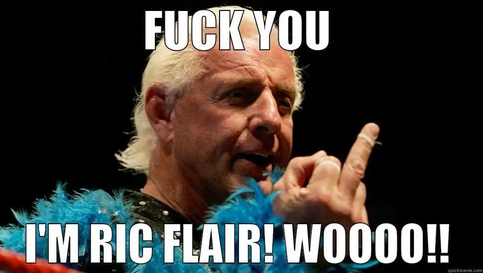 Ric Flair gives bird