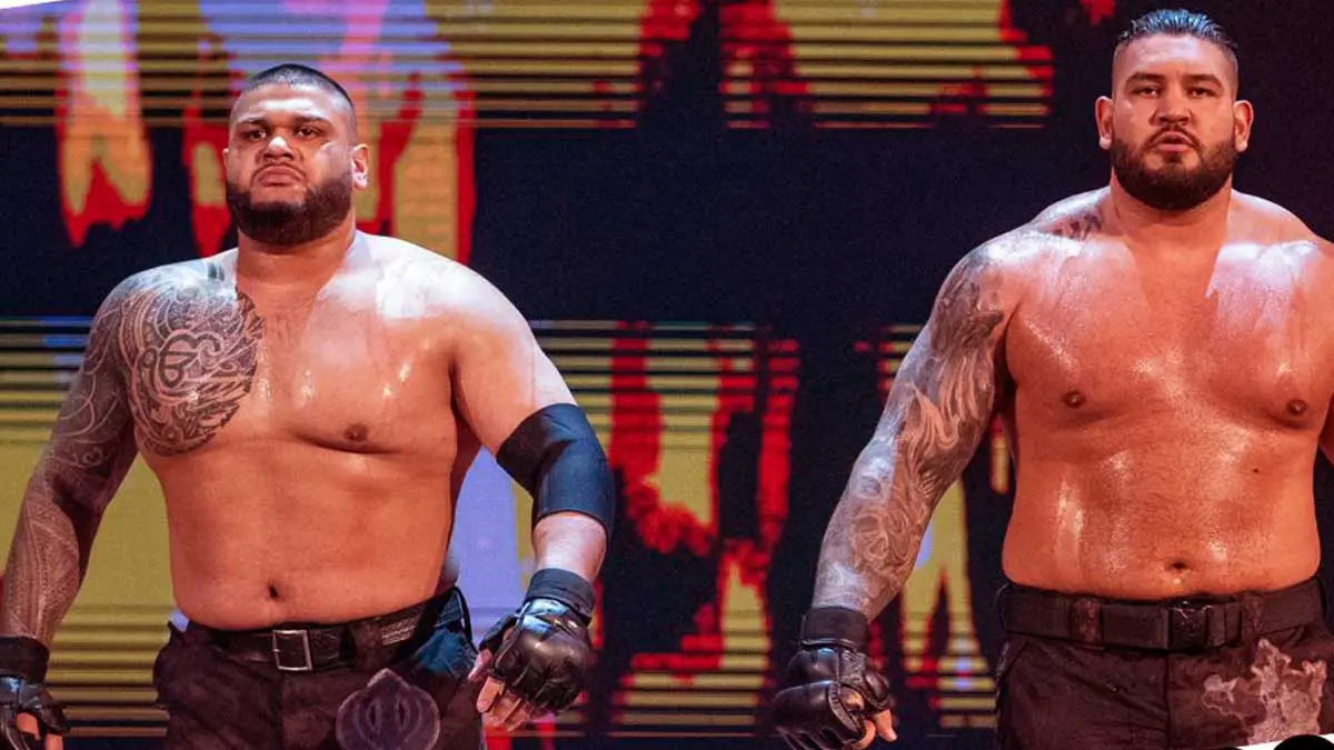Akam & Rezer WWE