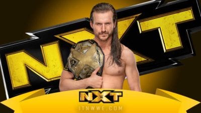 Adam Cole NXT Champions 2019