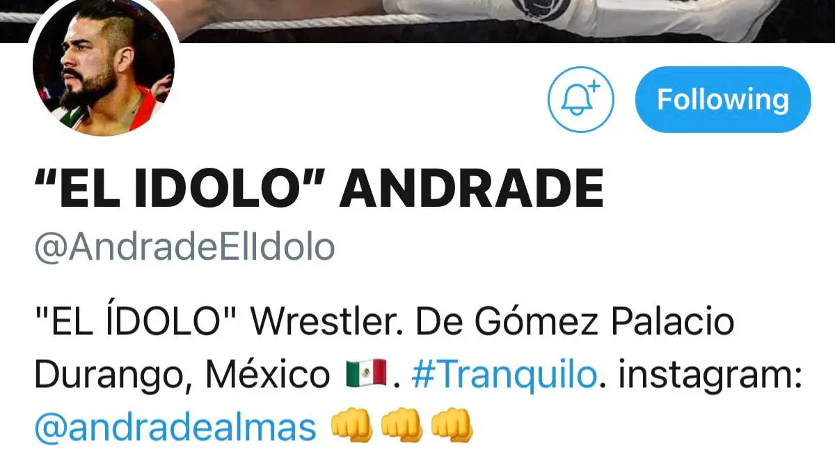 Andrade Twitter Bio Changed 