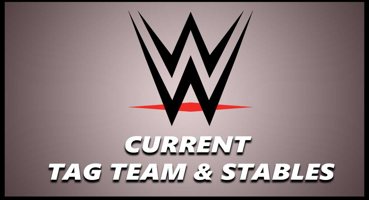 WWE CURRENT TAG TEAM Stable 