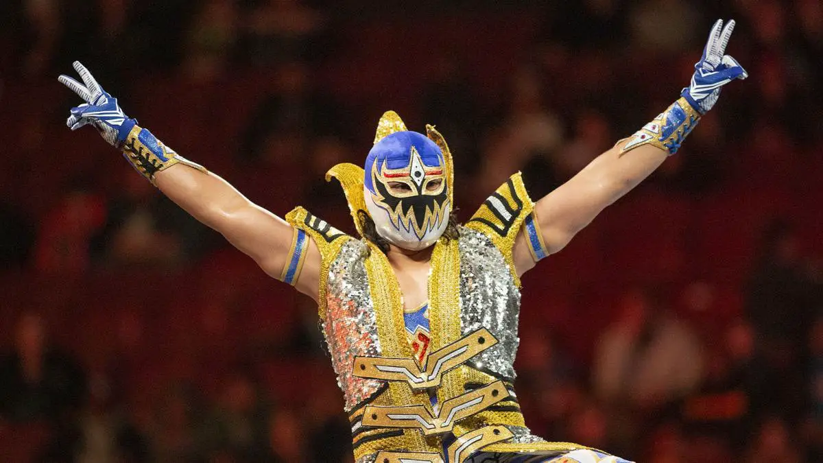 Gran Metalik wwe