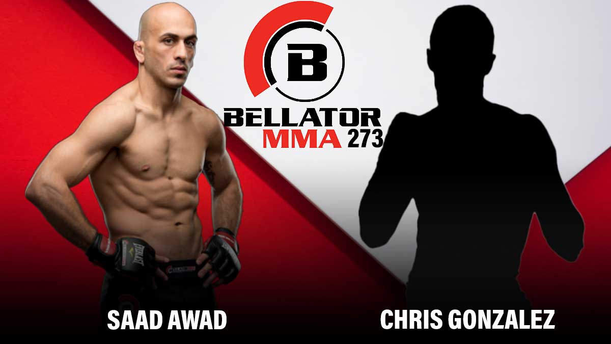 Saad Awad vs Chris Gonzalez Bellator 273