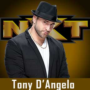 Tony D'Angelo WWE Roster