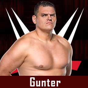 Gunter WWE Roster 2022