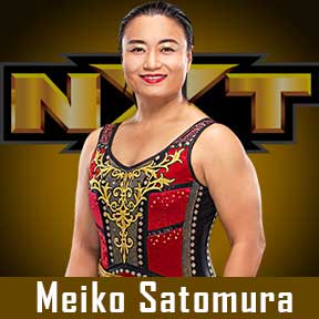Meiko Satomura WWE Roster 2022