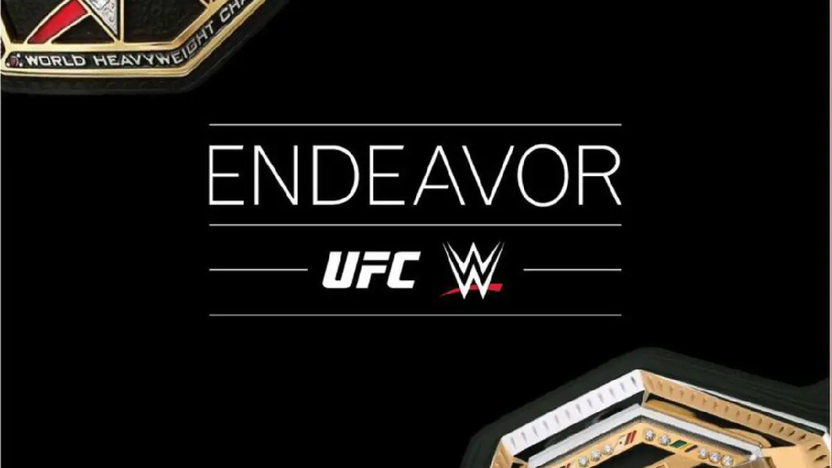 Endeavor - WWE & UFC