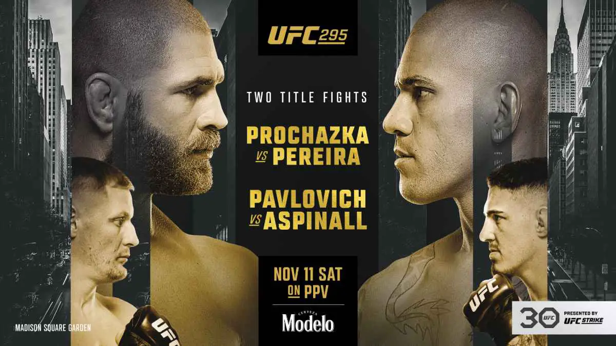 UFC 295 Poster