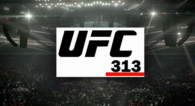 UFC 313 Poster