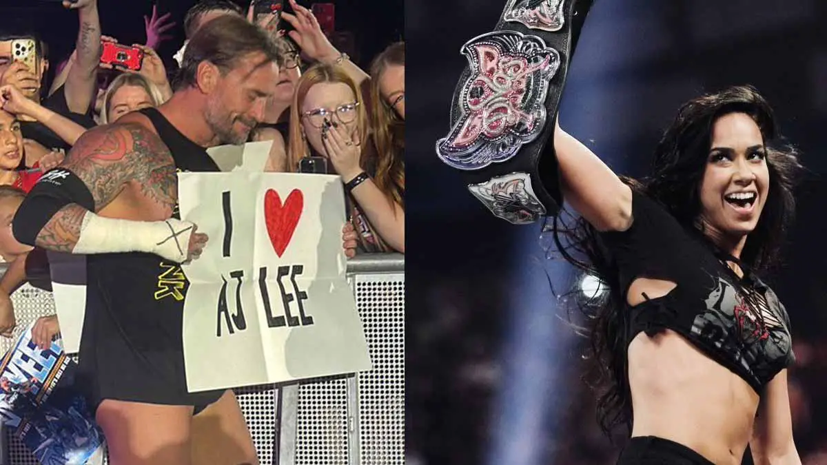 AJ Lee CM Punk
